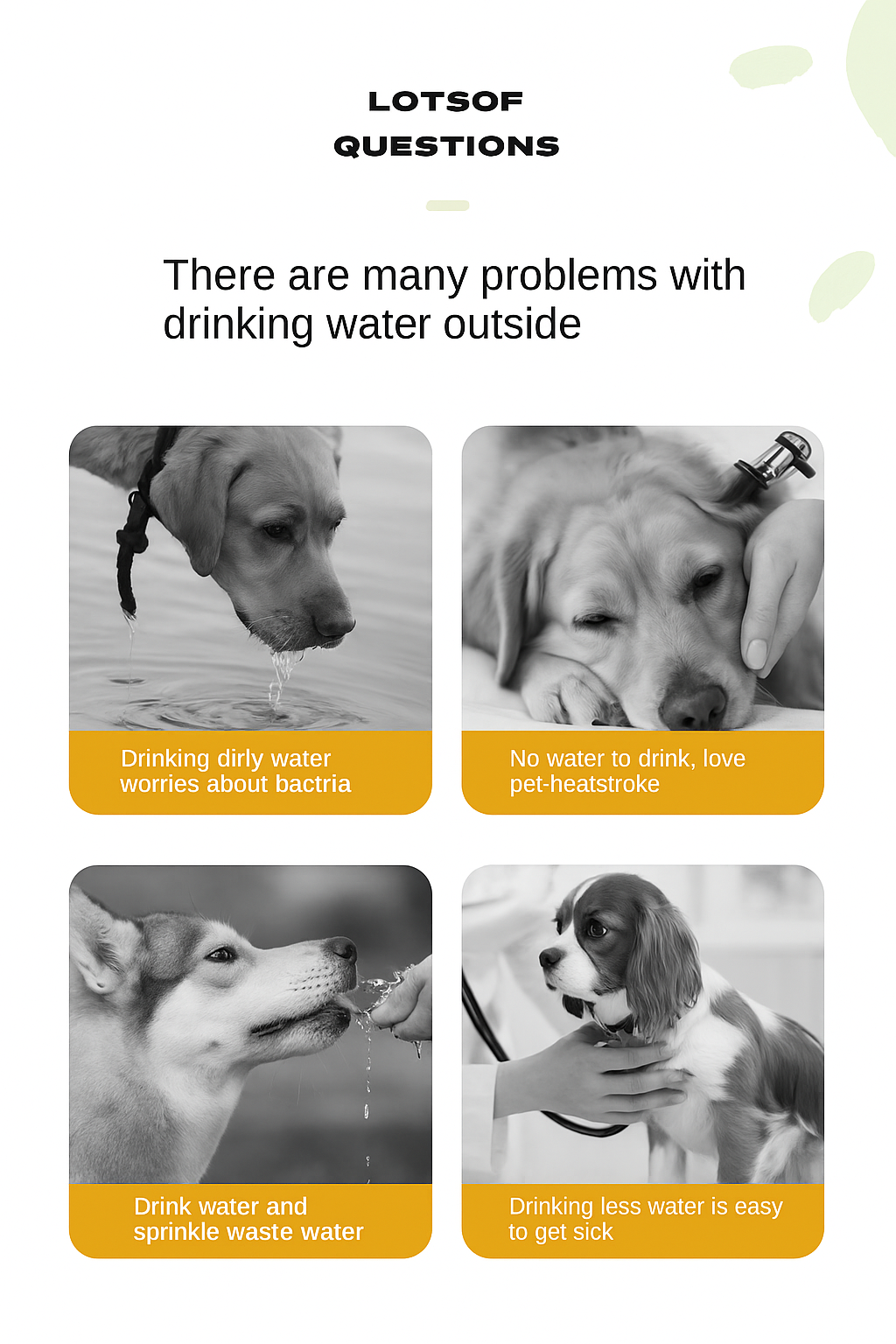 Four images showing dogs with text about drinking water issues.