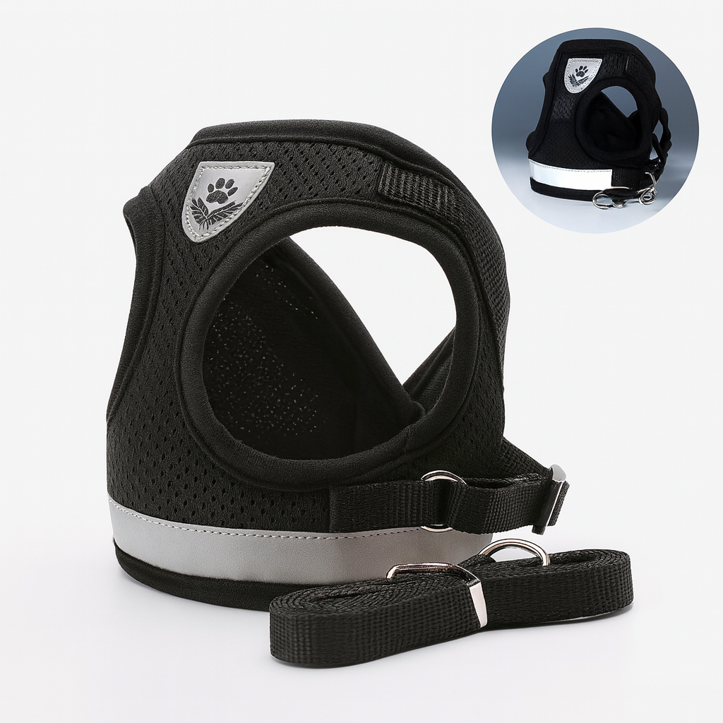 PawPals SafeWalk – Escape-Proof Harness and Leash for Dogs and Cats