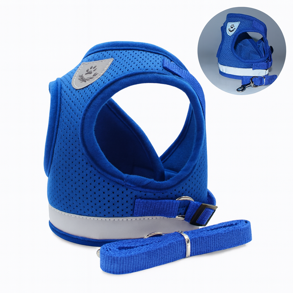PawPals SafeWalk – Escape-Proof Harness and Leash for Dogs and Cats