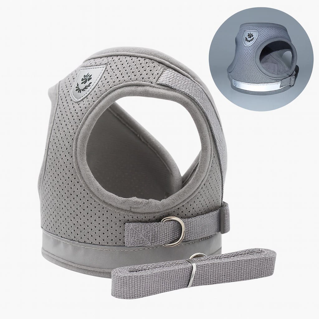 PawPals SafeWalk – Escape-Proof Harness and Leash for Dogs and Cats