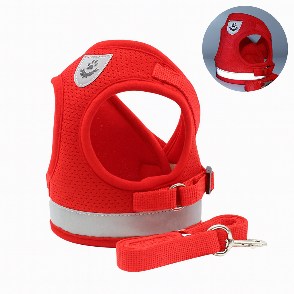 PawPals SafeWalk – Escape-Proof Harness and Leash for Dogs and Cats