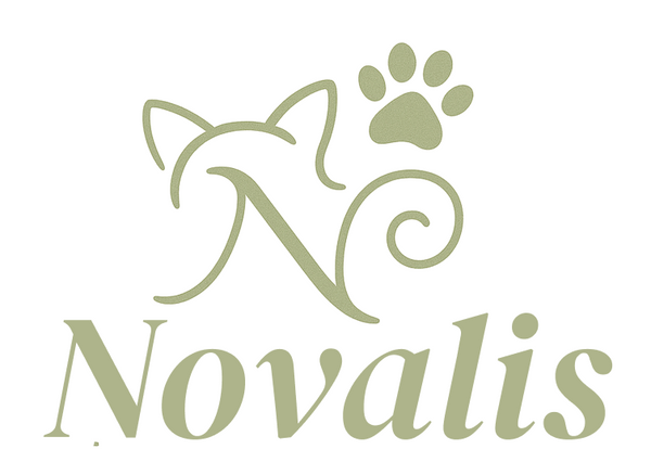 Novalis