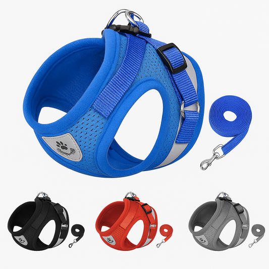 PawPals SafeWalk – Escape-Proof Harness and Leash for Dogs and Cats